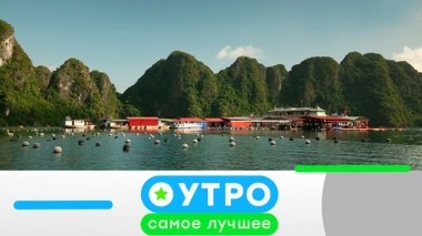 13 августа 2019 года 12.08.2019