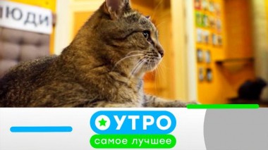 13 декабря 2023 года 13.12.2023