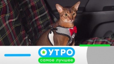 13 июня 2019 года 12.06.2019