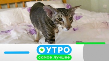 13 мая 2020 года 13.05.2020