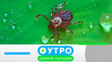 13 мая 2024 года 13.05.2024