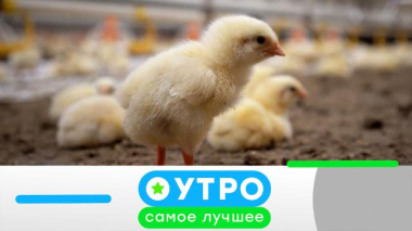 13 мая 2026 года 13.05.2026