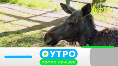 13 октября 2025 года 13.10.2025