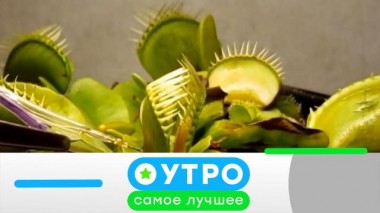 13 сентября 2024 года 13.09.2024