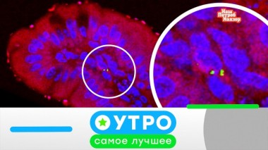 14 июля 2020 года 13.07.2020