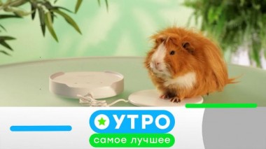 14 июня 2024 года 14.06.2024