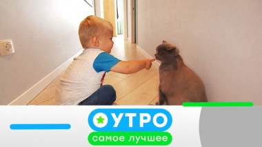 14 мая 2020 года 13.05.2020