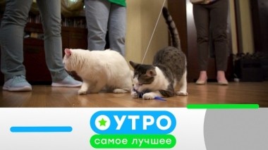 14 ноября 2019 года 14.11.2019