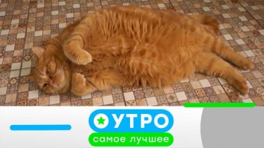 14 октября 2024 года 14.10.2024