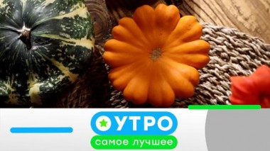 15 февраля 2024 года 15.02.2024