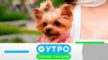 15 июня 2026 года 15.06.2026