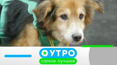 15 ноября 2023 года 15.11.2023