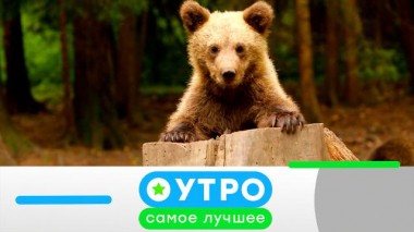 15 ноября 2024 года 14.11.2024