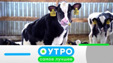 16 апреля 2025 года 16.04.2025