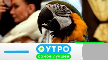 16 декабря 2024 года. 08:00 16.12.2024