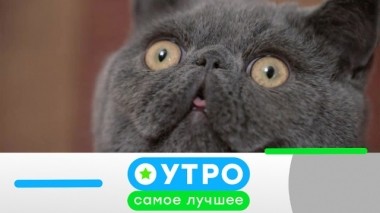 16 июля 2019 года 16.07.2019