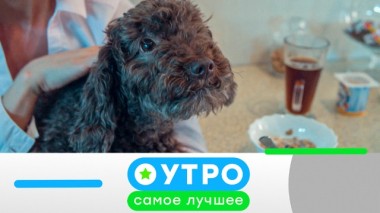 16 июня 2020 года 16.06.2020