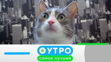 16 мая 2019 года 16.05.2019