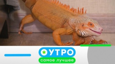 16 октября 2019 года 15.10.2019