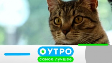 16 октября 2023 года 16.10.2023