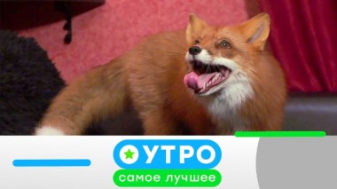 17 апреля 2020 года 17.04.2020