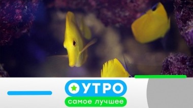 17 июля 2019 года 17.07.2019