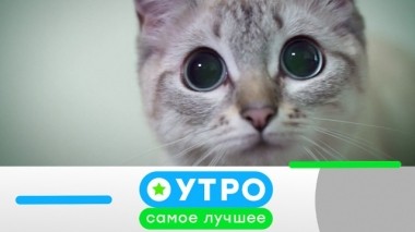 17 июня 2019 года 16.06.2019