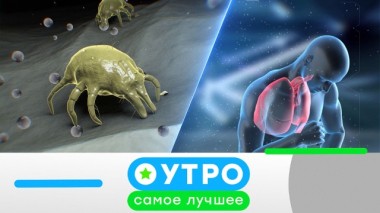 17 июня 2020 года 16.06.2020