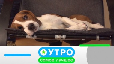 17 марта 2020 года 17.03.2020