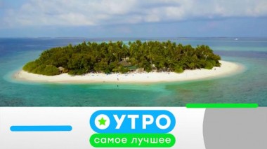 17 марта 2025 года 17.03.2025