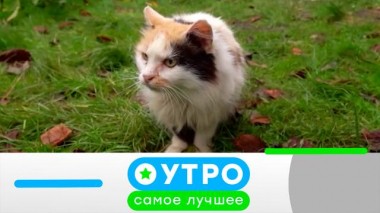 18 февраля 2025 года 18.02.2025