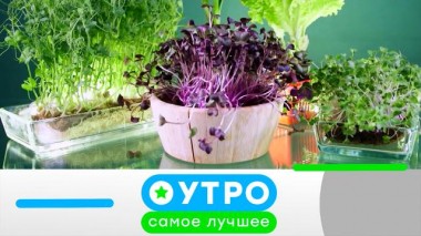 18 июля 2024 года 18.07.2024