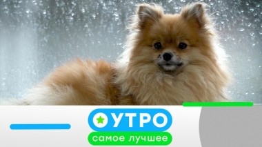 18 июня 2019 года 17.06.2019