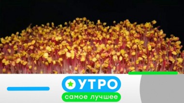 18 марта 2020 года 17.03.2020