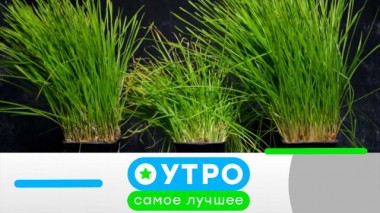 18 марта 2024 года 18.03.2024