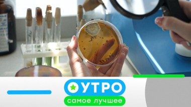 18 мая 2020 года 18.05.2020