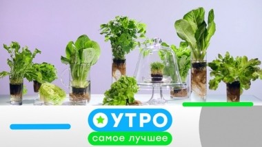 19 апреля 2019 года 19.04.2019