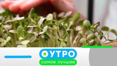 19 июля 2024 года 19.07.2024