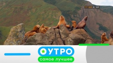 19 июня 2019 года 18.06.2019