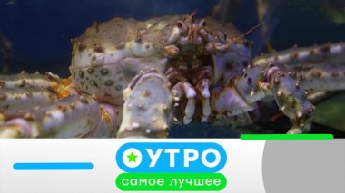 19 июня 2025 года 19.06.2025