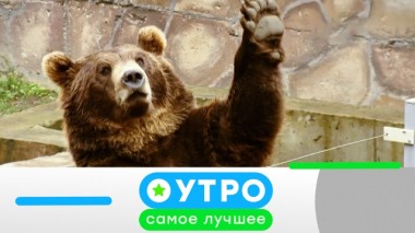 19 мая 2020 года 18.05.2020