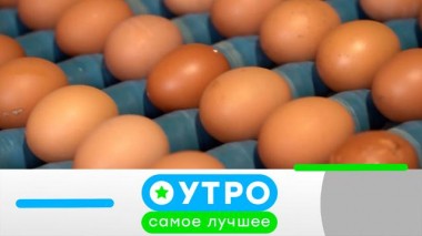 19 мая 2025 года 19.05.2025