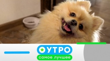 19 ноября 2019 года 18.11.2019