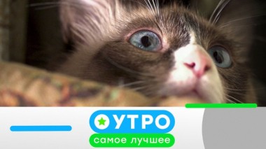 2 марта 2020 года 02.03.2020