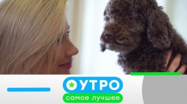 20 августа 2019 года 19.08.2019