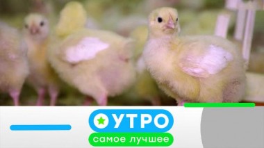 20 февраля 2024 года 20.02.2024