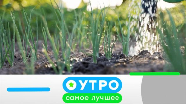 20 июля 2026 года 20.07.2026