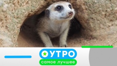 20 марта 2020 года 20.03.2020