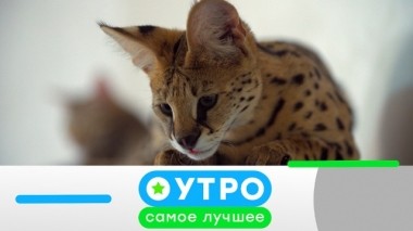 20 мая 2019 года 19.05.2019