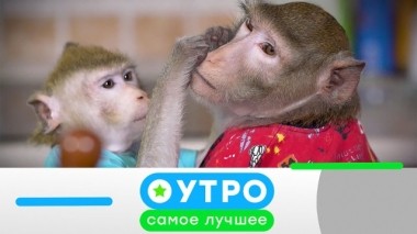 20 ноября 2019 года 19.11.2019